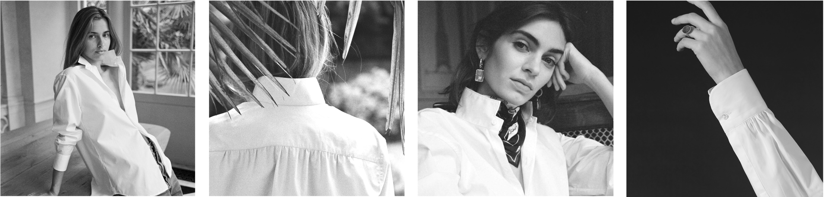 Chapitre 2 : Amazone