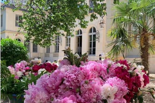 Le marché aux pivoines dans les jardins de Bourrienne